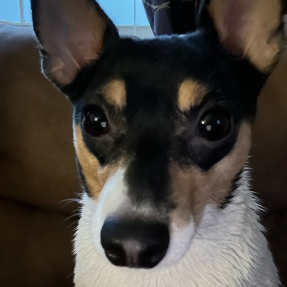 Meet your Posher, Alex - Picture 1 of 1